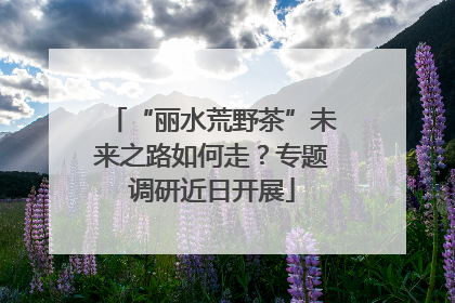 “丽水荒野茶”未来之路如何走？专题调研近日开展